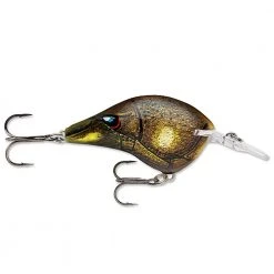Rapala DT (Dives-To) Series Crankbaits