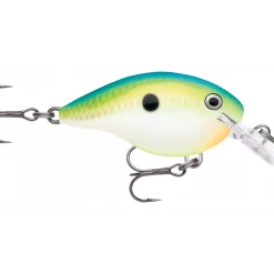 Rapala DT (Dives-To) Series Crankbaits