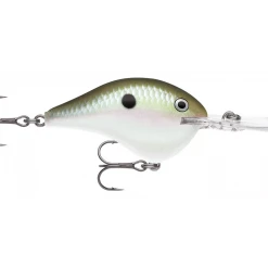 Rapala DT (Dives-To) Series Crankbaits
