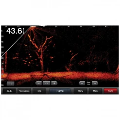 Garmin Panoptix LiveScope System