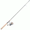 Fenwick Eagle Spinning Combo Rods & Reels