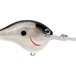 Rapala DT (Dives-To) Series Crankbaits